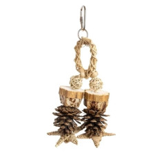 BACK ZOO NATURE FOREST RING